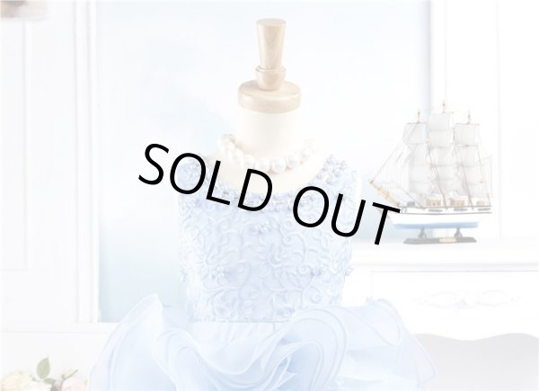 画像2: ギガンチューム (2)