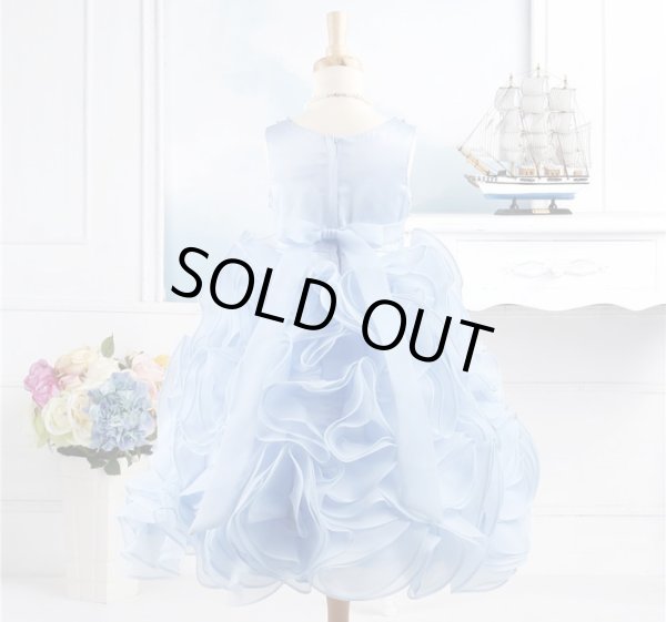 画像4: ギガンチューム (4)