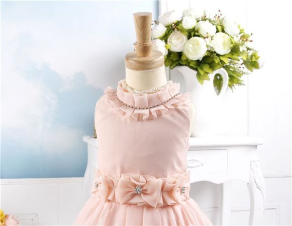 画像3: アンゲリカ(グリーン・オレンジ) (3)