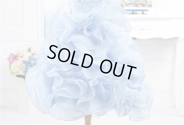 画像3: ギガンチューム (3)