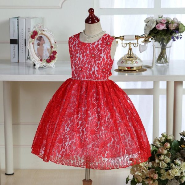 画像8: アガパンサス (8)