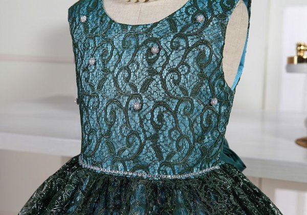 画像4: アガパンサス (4)