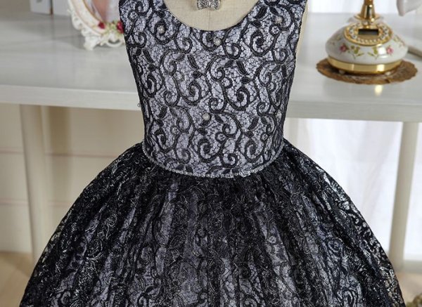 画像7: アガパンサス (7)