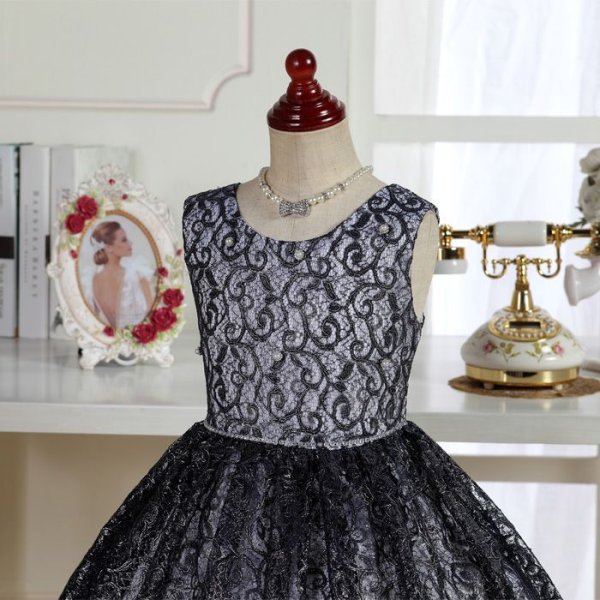 画像6: アガパンサス (6)