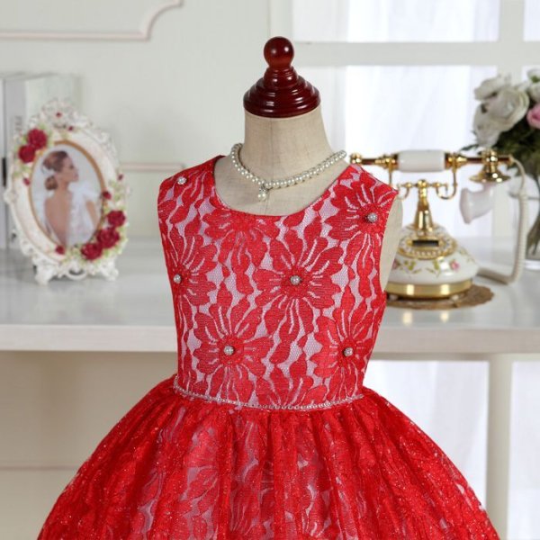 画像9: アガパンサス (9)