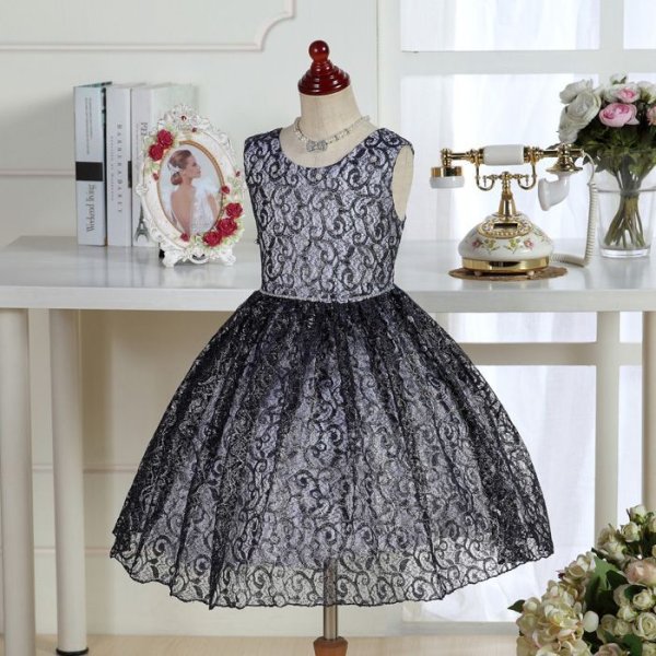 画像5: アガパンサス (5)