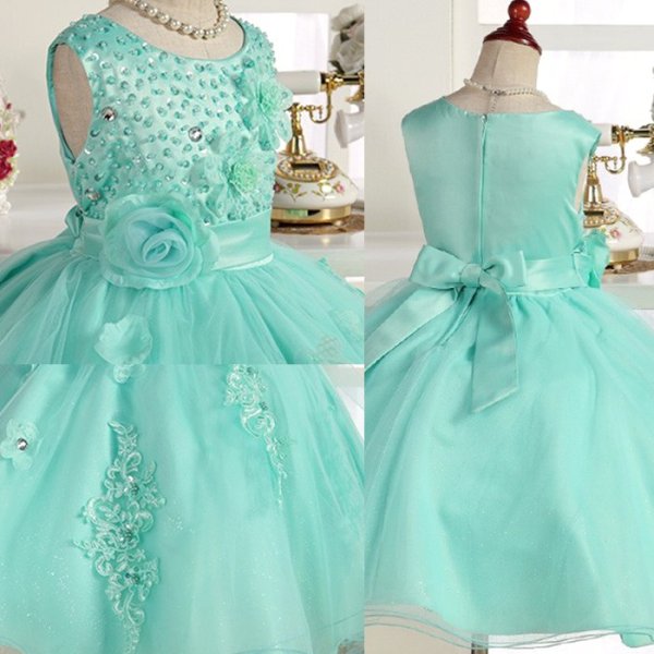 画像8: グラジオラス  (8)