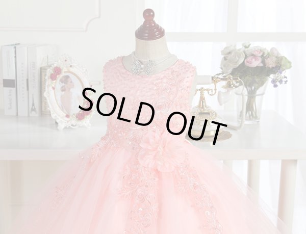 画像3: アスチルベ (3)