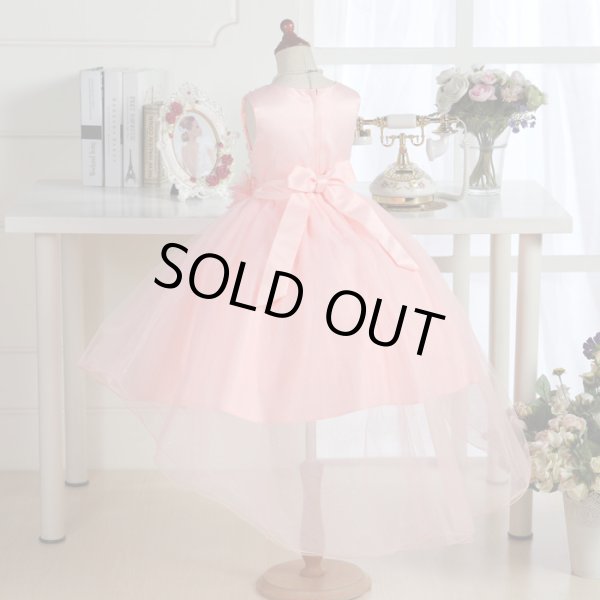 画像6: アスチルベ (6)