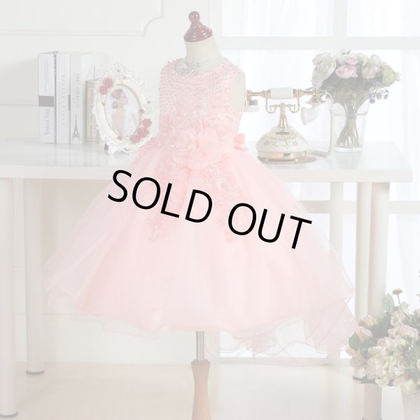 画像2: アスチルベ (2)