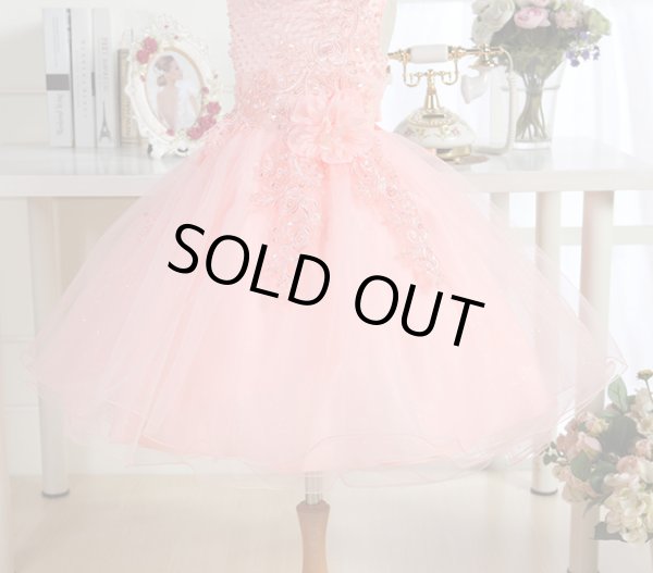 画像5: アスチルベ (5)