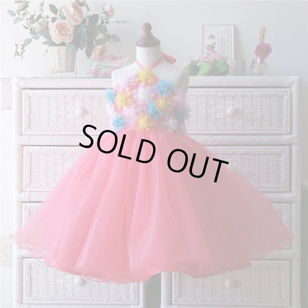 画像4: ルピナス  (4)