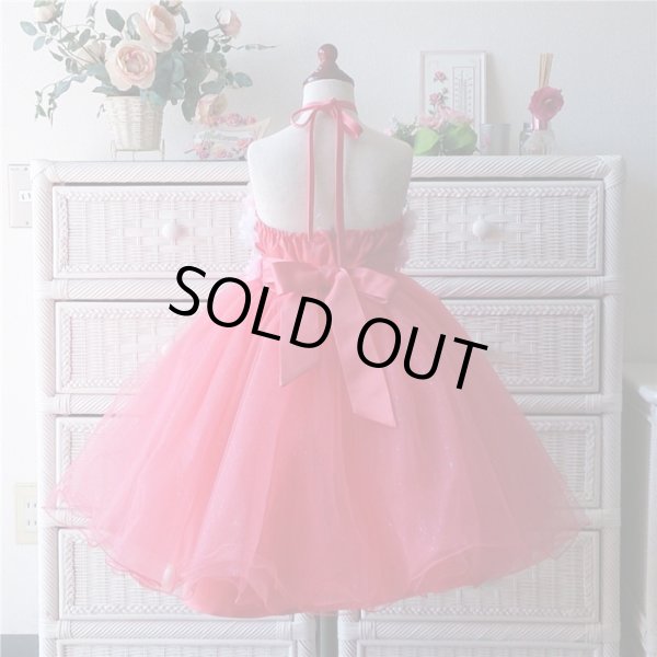 画像7: ルピナス  (7)