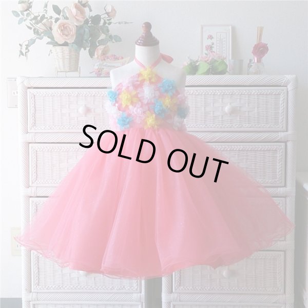 画像6: ルピナス  (6)