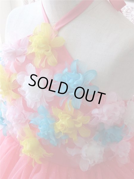 画像5: ルピナス  (5)